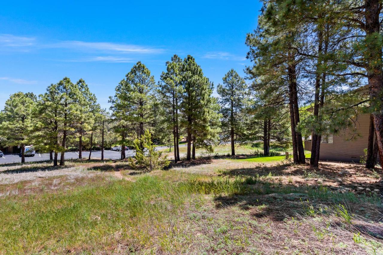 Villa Delightful 1 Bdrm Country Club Retreat With Mt Elden Views! à Flagstaff Extérieur photo